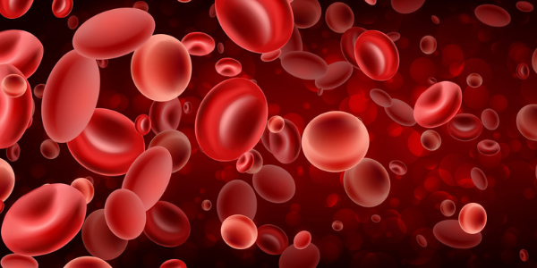A microscopic view of red blood cells, illustrating that polycythemia causes overproduction of red blood cells.
