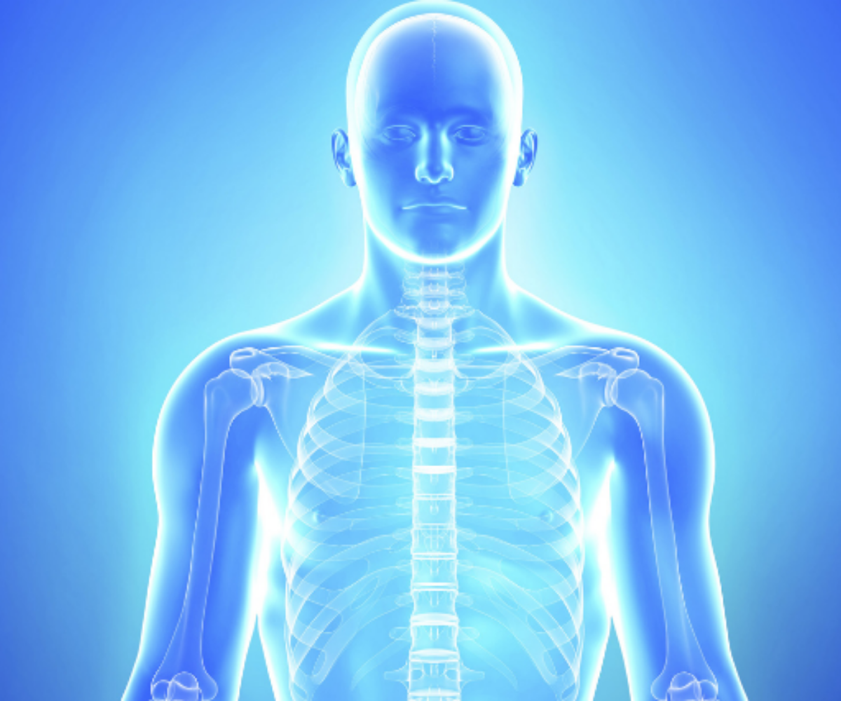 An illustration of the human body of a man with skeleton showing, to indicate the side effects of TRT.