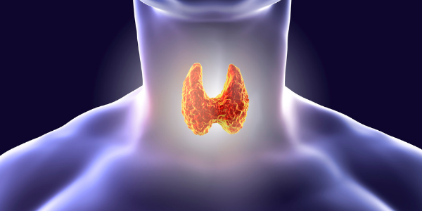Learn More About Thyroid Therapy: Is T4 Enough?