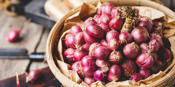 Learn More About Do Onions Increase Testosterone?